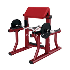 Kommerzielle Arm Curl Bank Prediger Curl Gym Bank