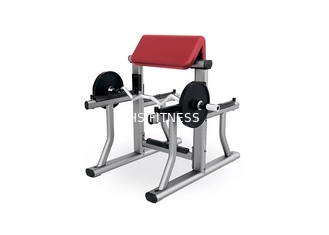 Kleines Turnhallen-Gewichts-Bank-Gestell-Haupttrainings-Eignungs-Bizeps-Arm-Locken-Ausrüstung