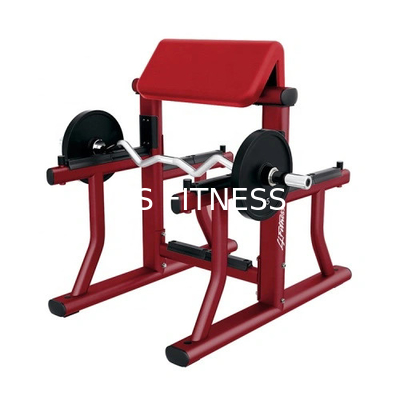 Kommerzielle Arm Curl Bank Prediger Curl Gym Bank