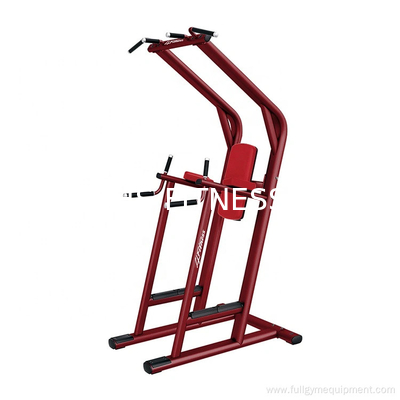 Chin Pull Up Stromturm Bar Dip Station