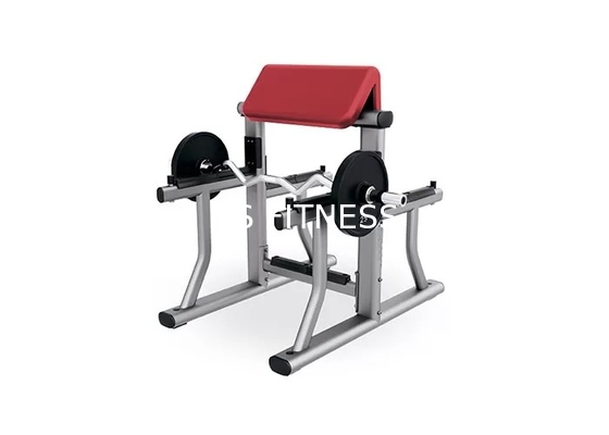 Kleines Turnhallen-Gewichts-Bank-Gestell-Haupttrainings-Eignungs-Bizeps-Arm-Locken-Ausrüstung