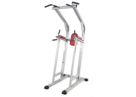 Leben-Eignungs-unterstützte Handelsturnhallen-Ausrüstungs-Stärke Chin Dip Leg Raise Machine