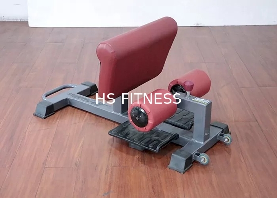 Handelsklasse-justierbares Sissy Squat Rack Machine For-Body Building