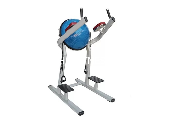 Lebenszeit-Eignungs-Trainings-Ausrüstungs-/Chin Dip Leg Raise Withs Bosu Ball-Maschine