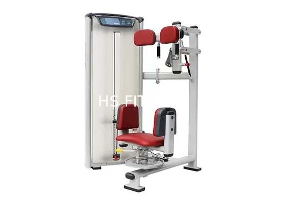 ODM-bodybuildendes Drehtorso-Maschinen-Handelselektrospray