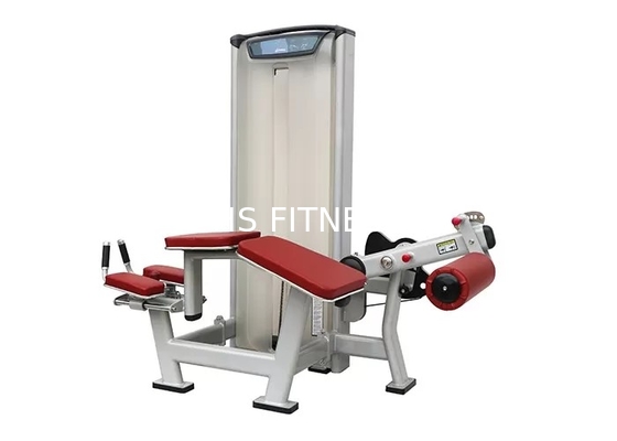 Soem-Turnhallen-Matrix-Trainings-Ausrüstungs-anfällige Bein-Locken-Übungs-Maschine