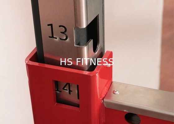 Multi Ausrüstungs-Handelsenergie-untersetztes Gestell der Turnhallen-Q235 mit Logo Customized