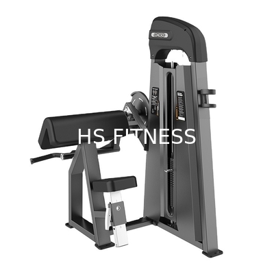 Turnhallen-Training Sitzbizeps-Maschine für Body Building-Stärke